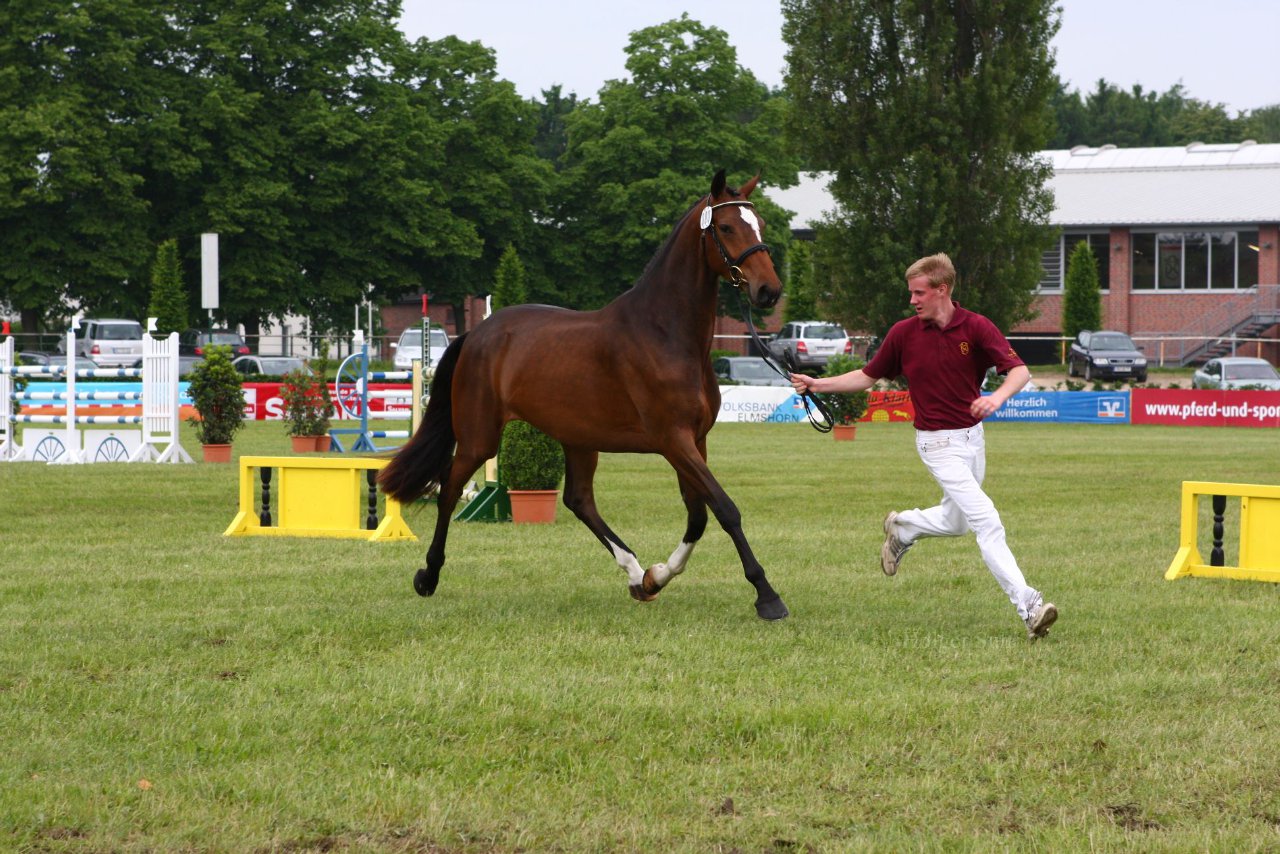 Bild 125 - Elmshorn am 9.6.10